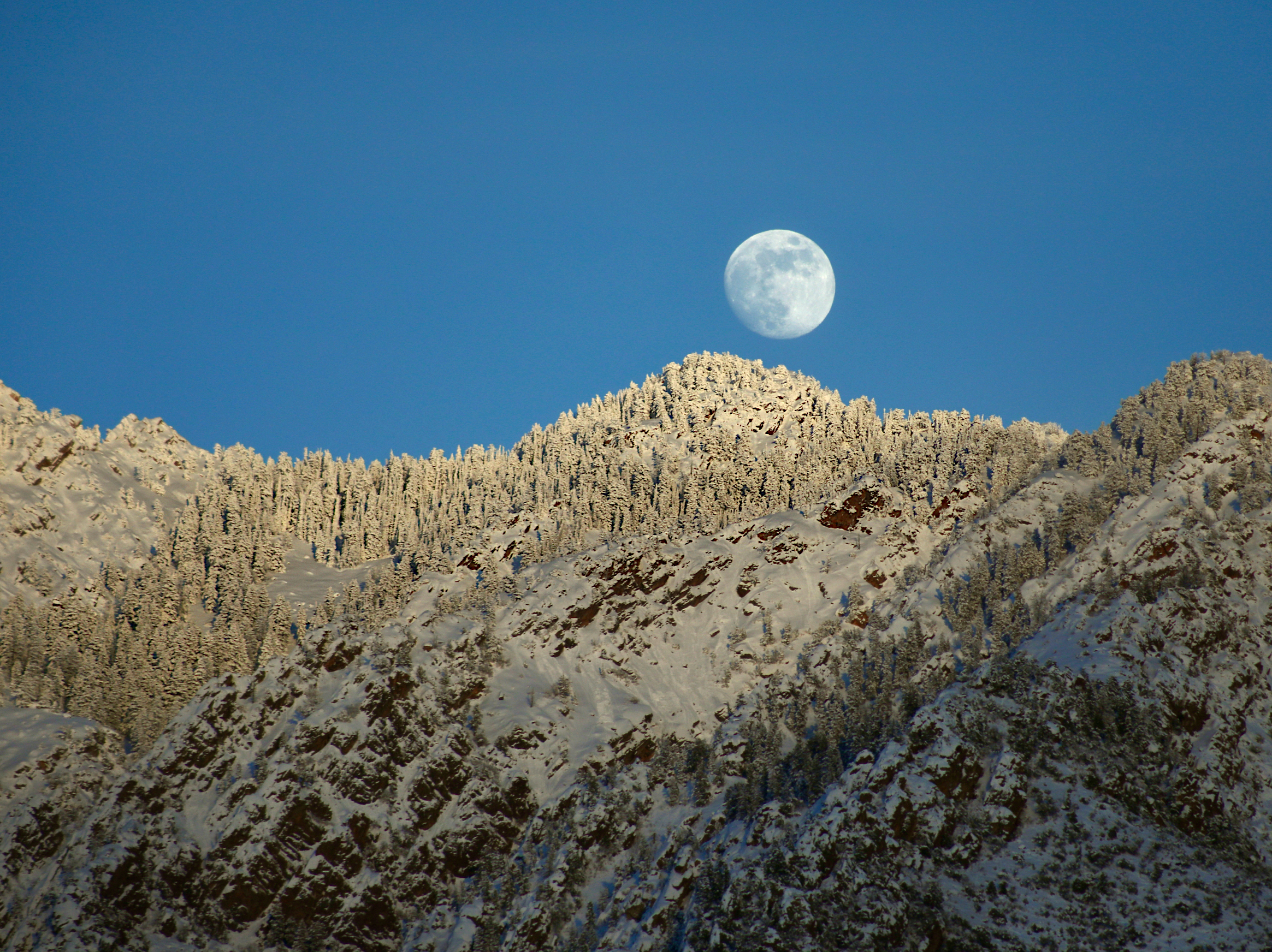 a bright, nearly full moon rises in the sky at dusk over a jagged mountain range with pine forests covered in snow